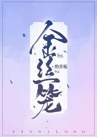 金丝笼小说人物